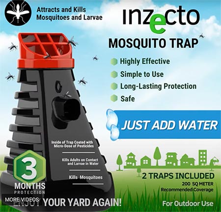 Mosquito Bait Station Bryan TX