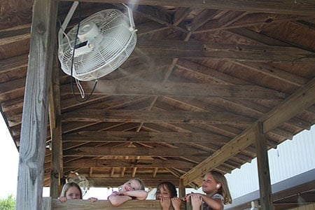 Mist-Fan-3