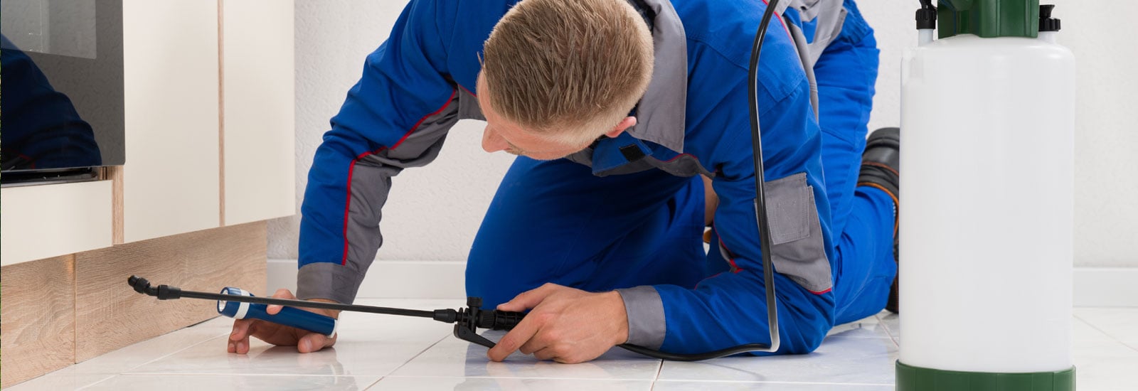 College Station Pest Control | Backyard Comfort & Pest Control