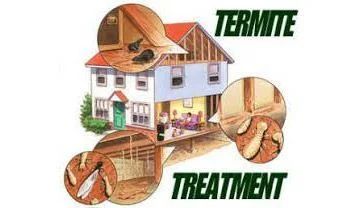 termite-treatment